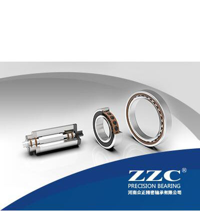 Henan Zhongzheng Precision Bearing Co., Ltd.